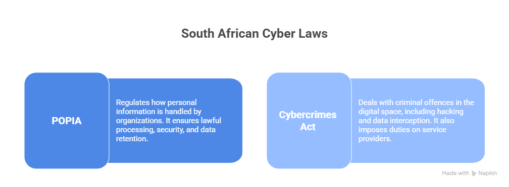 What the Law Says — South Africa’s Framework - visual selection